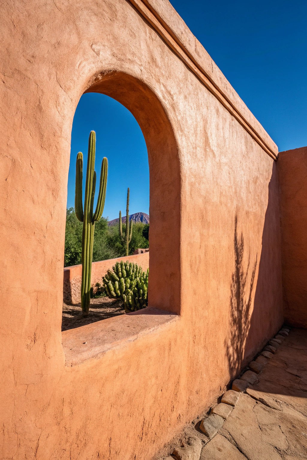 Warm stucco walls beautifully frame desert views and make your plants pop.