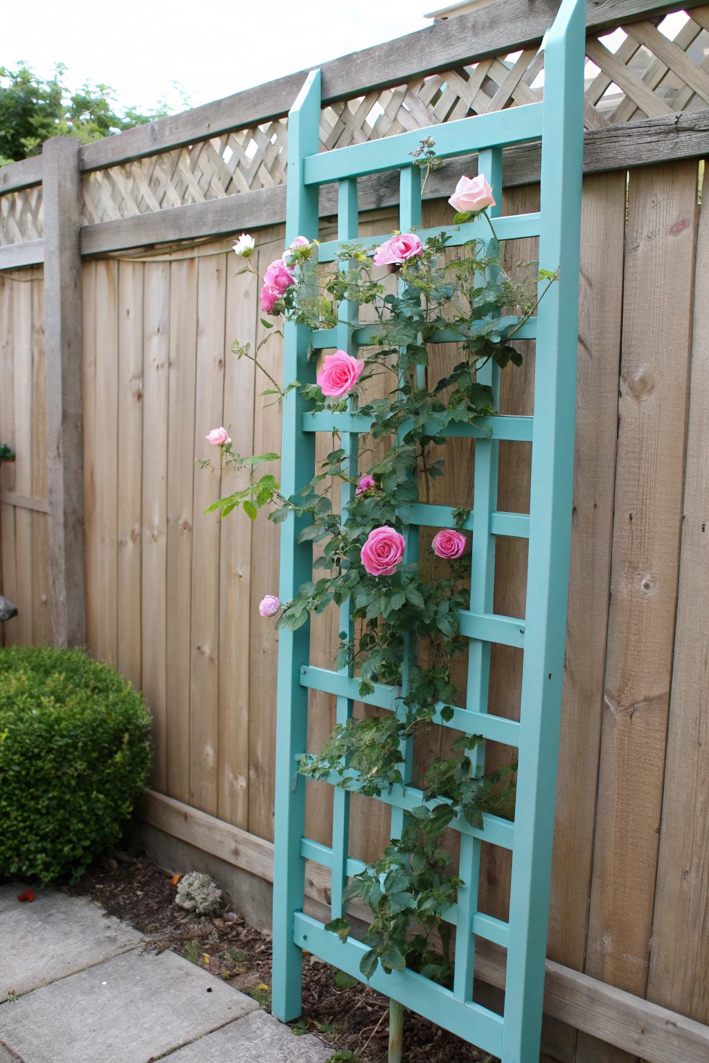 Transform your garden with a bold, beautifully painted trellis—simple, affordable, and stunning.