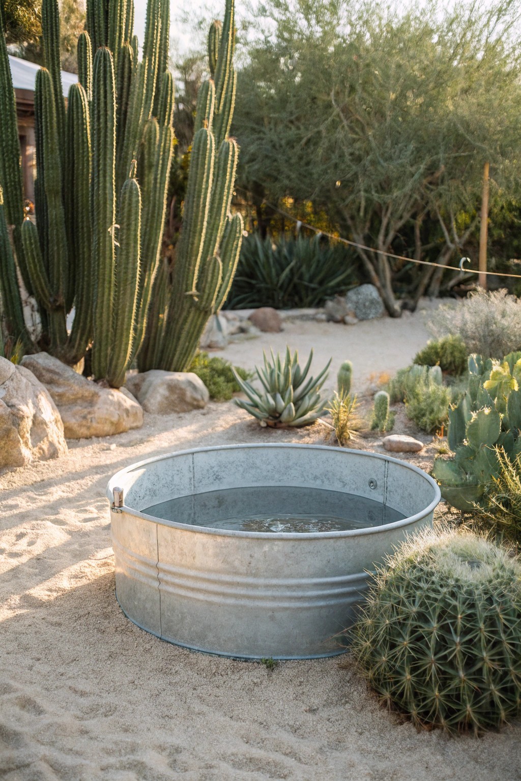 Desert oasis dreams: a stock tank pool surrounded by cacti and succulents for effortless style.