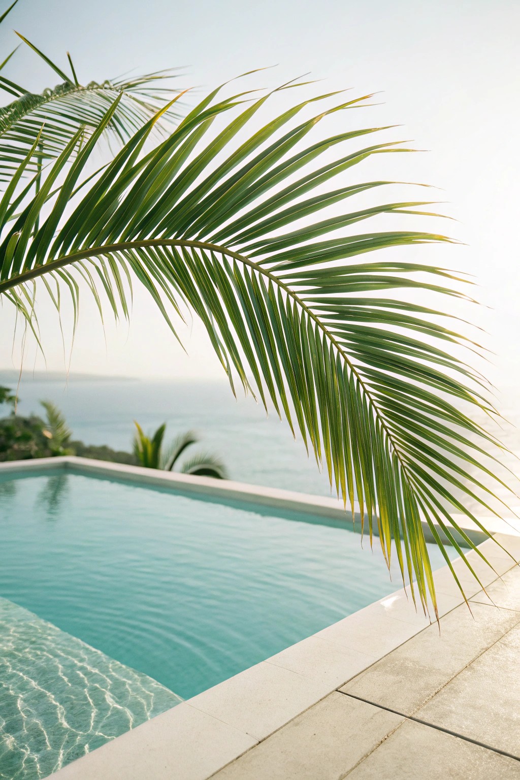 Transform your poolside into a tropical paradise with lush, simple greenery.